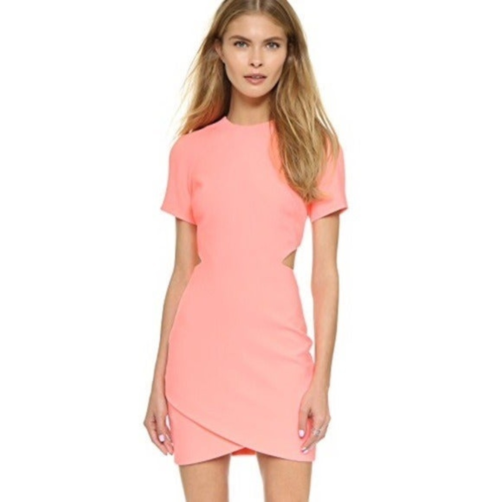 Elizabeth and James Dress size 8